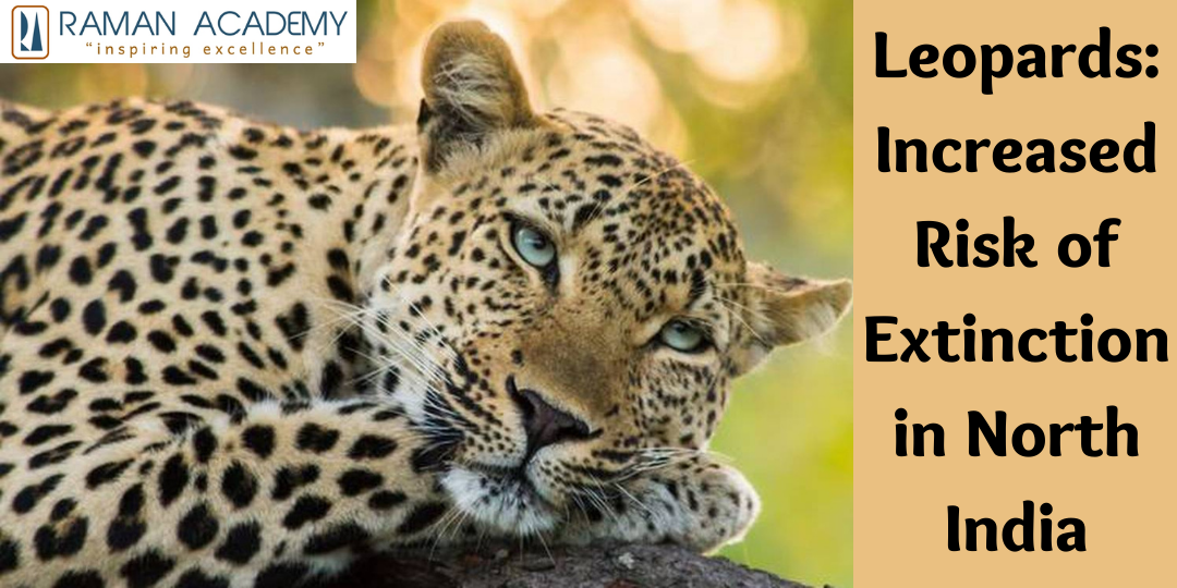 Leopards: Increased Risk of Extinction in North India