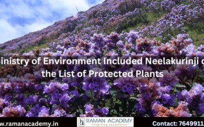 Ministry of Environment Included Neelakurinji on the List of Protected Plants