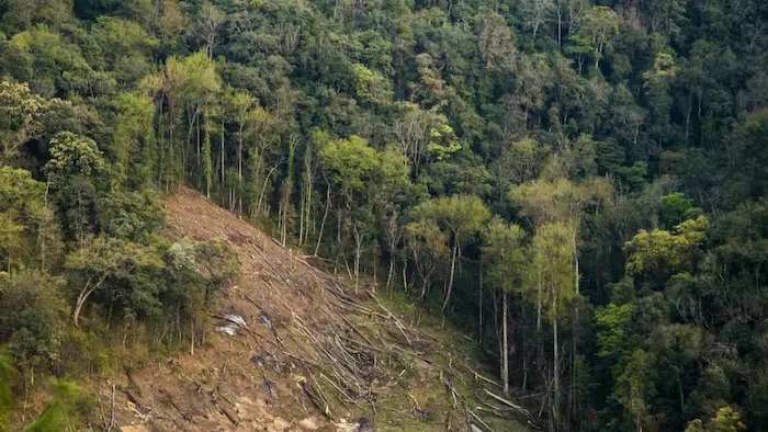 21st June 2025 - Current Affairs 3 Indias Green India Mission Aims to Restore Degraded Forests 1 1