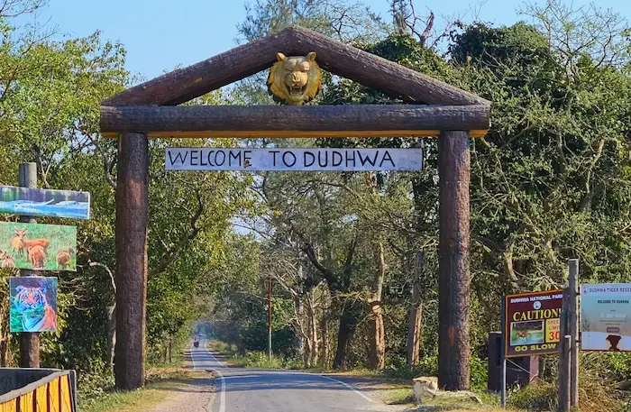 dudhwa national park 1