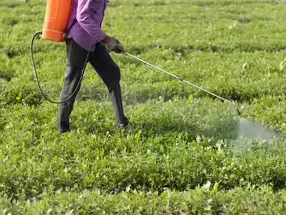 6th July 2025 - Current Affairs 3 fertiliser 1