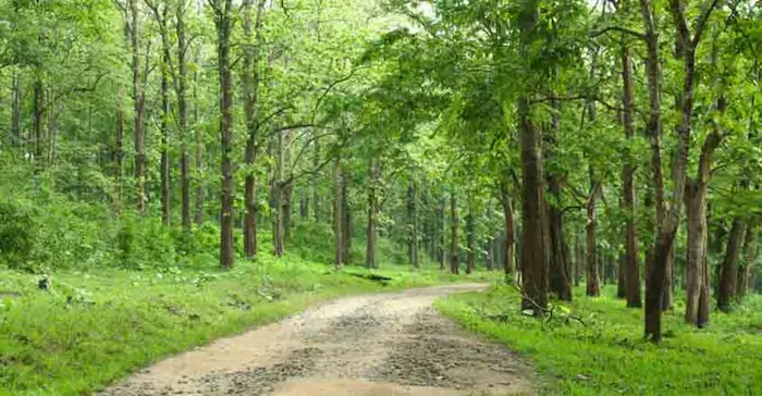 15th July 2025 - Current Affairs 2 parambikulam forest road