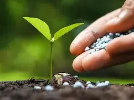 Indias Biostimulant Regulation 1753111291 1 1