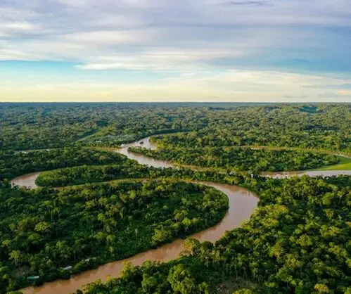 csm FAQ Tropical Forest Forever Facility 0fef46dfa5 1