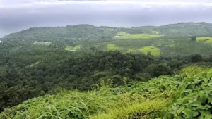 19THNSMNELLIYAMPATHY