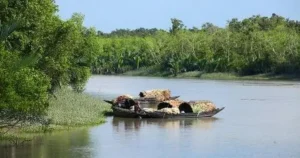 14th October 2025 – Current Affairs 4 A12620 UNESCO World Heritage Sites Sundarbans National Park Image 1