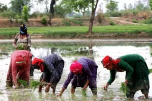 Empowering women Ali Shalini Inside Image
