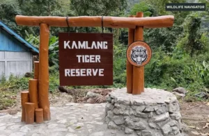 Kamlang Tiger Reserve 1