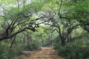 15th October 2025 – Current Affairs 3 Ridge Walk 02