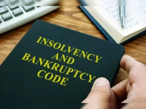 cultivating innovation the role of ibc in nurturing indias entrepreneurial ecosystem 1