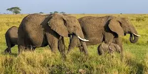 16th October 2025 – Current Affairs 2 images 12